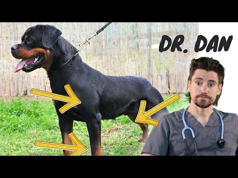 Bone Cancer in