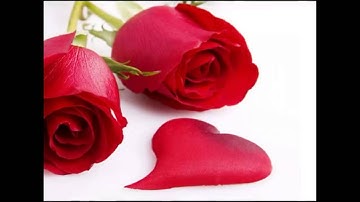 الشيخ عبدالودود حنيف سورة ( القدر)