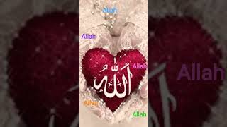 🕋🤲🌹
