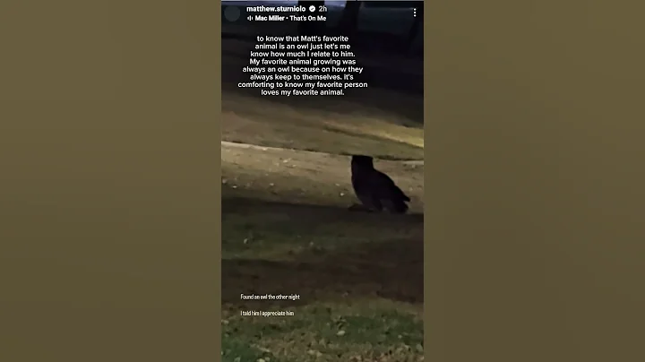 Matt Sturniolo/Sturniolo Triplets/ #sturniolotripletsedit #mattsturniolo #viralvideo #viralshorts