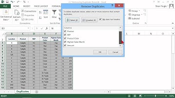 Microsoft Office Excel 2013 Tutorial: Removing Duplicate Records | K Alliance