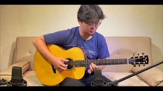 Goodall WCJ walnut guitar demo