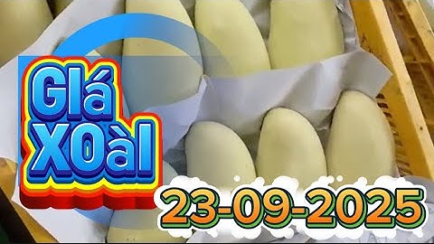 Giá xoài Đài Loan và cát hòa lộc, cát chu ngày hôm nay ngày 23 tháng 9, 2025