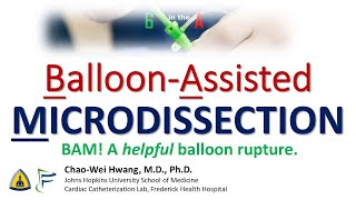 Balloon-Assisted Microdissection (BAM) bailout after sub-acute vessel closure screenshot 3