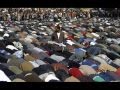 أحلامهم البسيطة مقطع أحلامهم البسيطة مقطع