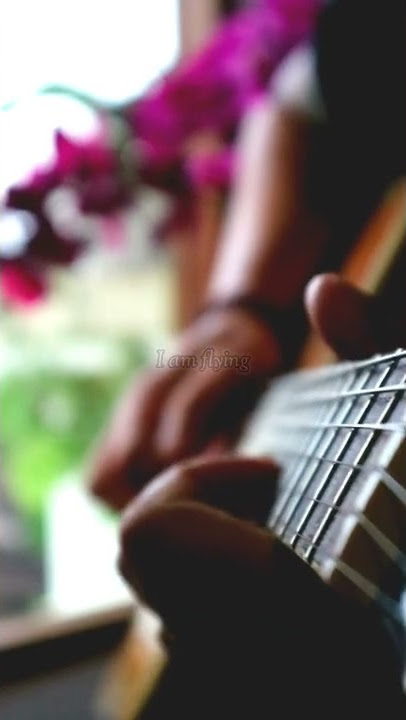Rod Stewart _ Sailing #shorts #guitarcover