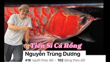 Cách nuôi của "Tiến Sĩ Cá Rồng" Nguyễn Trùng Dương - Cần Thơ (Mình phong cho anh ấy nha ! )