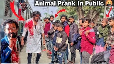 Animal Full Movie Prank 🤣 [Arbar