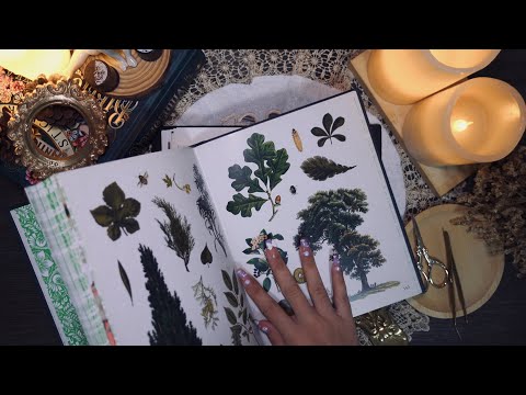 ASMR | Decorating my vintage diary | fairy theme | scrapbooking | paper sound