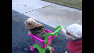 Video Thumbnail for Crusin Down The Street In My 64 Dog Edition Vine A Fun...