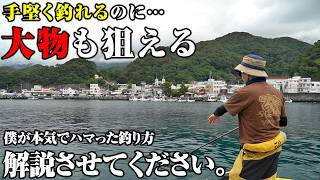 手堅く釣れて大物も狙える堤防釣りを完全解説。初心者の方、ルアーしかやらない人もぜひやってみて欲しい釣り方がこれ