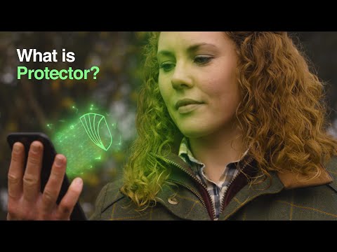 Video: Hva er definisjonen på beskytter?