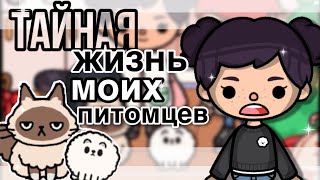 Тайная жизнь моих питомцев🕊💓 В тока бока// Sireana// Toca Life World