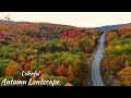 Colorful Autumn Landscape | Autumn Aerial View | Autumn Nature Relaxation