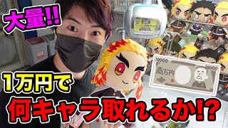 【クレーンゲーム】1万円で何キャラ取れるかやったら最高だった！
