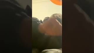 Çakal -Acemi̇ Gi̇bi̇si̇n