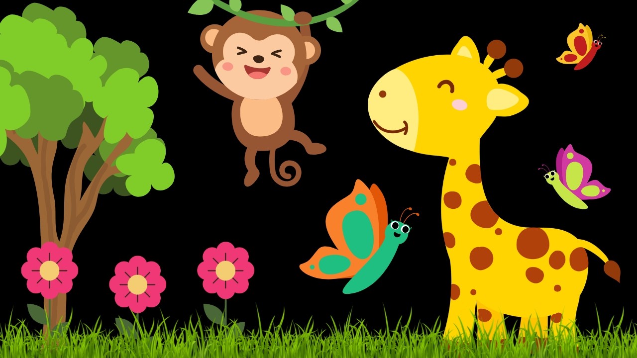 Baby Sensory Video - Tummy Time - Sensory Videos for Babies - Visual Stimulation for Newborn #baby