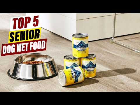 Best Wet Food for Senior Dogs in 2026 Top Picks for Easy Digestion Health