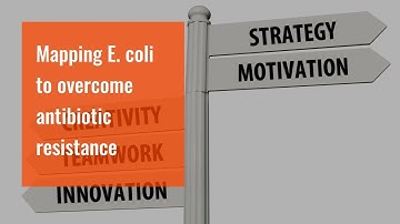 Mapping E. coli to overcome antibiotic resistance