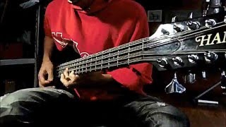 New York Groove - 12 string bass solo