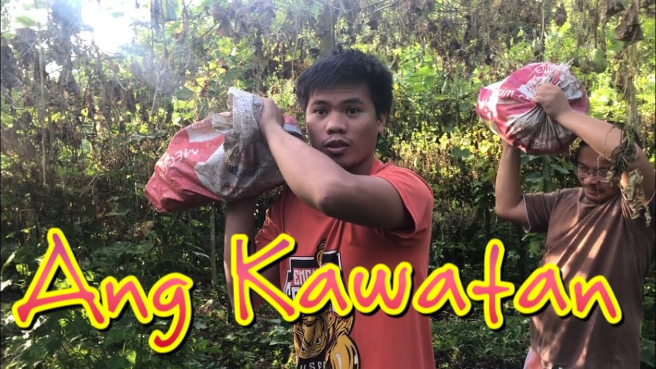 KAWATAN | KB VINES