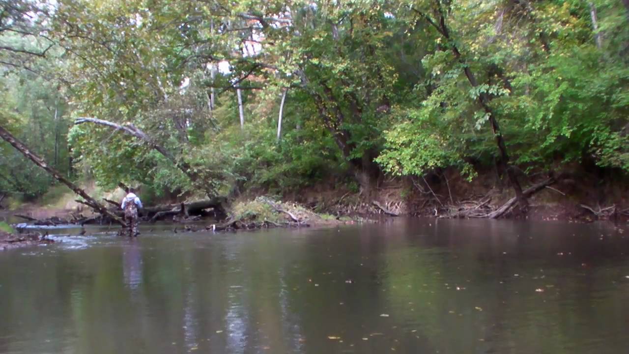 Fly Fishing the South Anna 10209 YouTube