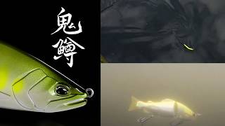 Realis Onimasu`s Glide Action