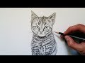 Aprende cmo dibujar un gato realista paso a paso 