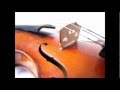 Miniature de la vidéo de la chanson Symphony No. 20 In D Major, K. 133: Iv. Allegro