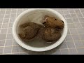 大切なものは失って初めて気づくゴールデンレトリバーベンツ。