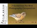 7 Guidelines For Bird Photography Composition