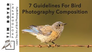 7 Guidelines For Bird Photography Composition