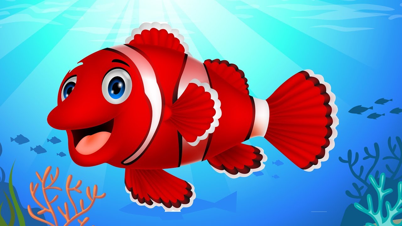 Kırmızı Balık Şarkısı - AfacanTV Çocuk Şarkıları