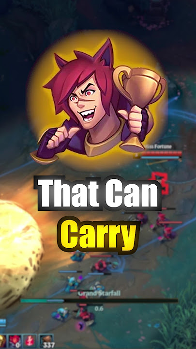 Supports That Can Carry !
