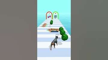 Dog Run 3D Game All Levels Gameplay iOS,Android Mobile Walkthrough Alltrailer