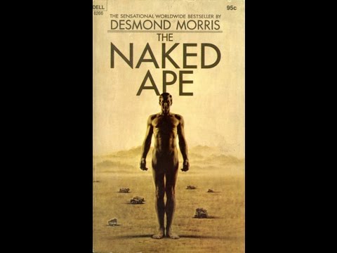 African Genesis The Naked Ape And The Descent Of Woman 