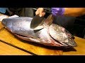 How to Fillet Big Yellowfin Tuna for Sasimi & Sushi