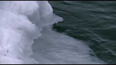 Climate Modeling & Native Knowledge