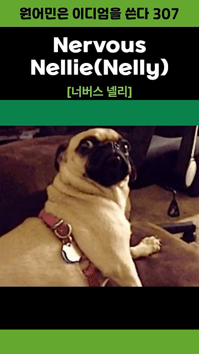 Download lagu Nervous Nelly #영어이디엄 #shorts