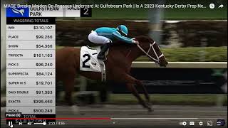FLASHBACK - MAGE Breaks Maiden On 2023 Pegasus Undercard At Gulfstream Park
