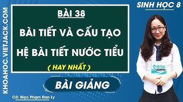 Bài tiết và cấu tạo hệ bài tiết nước tiểu - Bài 38 - Sinh học 8 - Cô Mạc Phạm Đan Ly (HAY NHẤT)