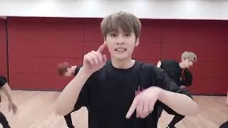 Stray Kids 'MIROH' Dance Practice Video (Heart ver