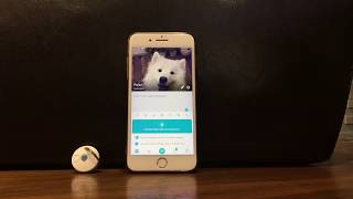 How to pair your DOTT Tag screenshot 4