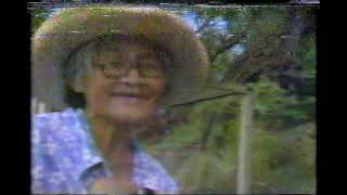 CBS Sunday Morning clip (June 15, 1986)