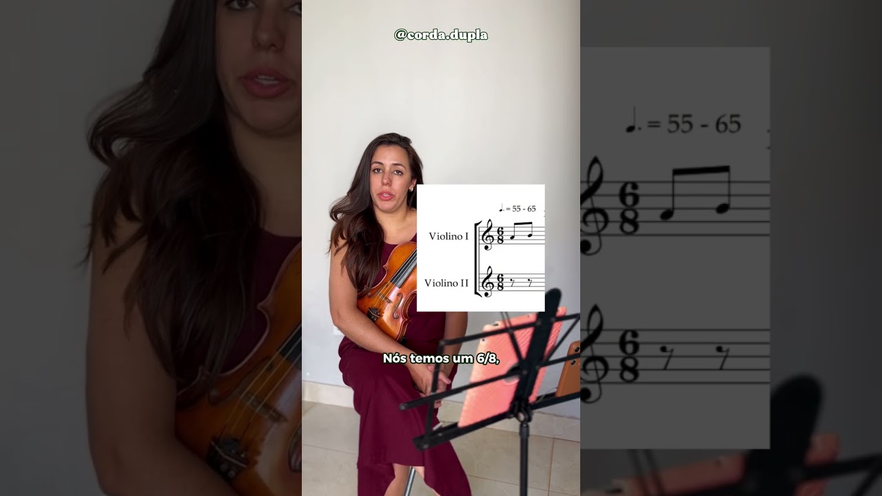 Está começando agora no violino?