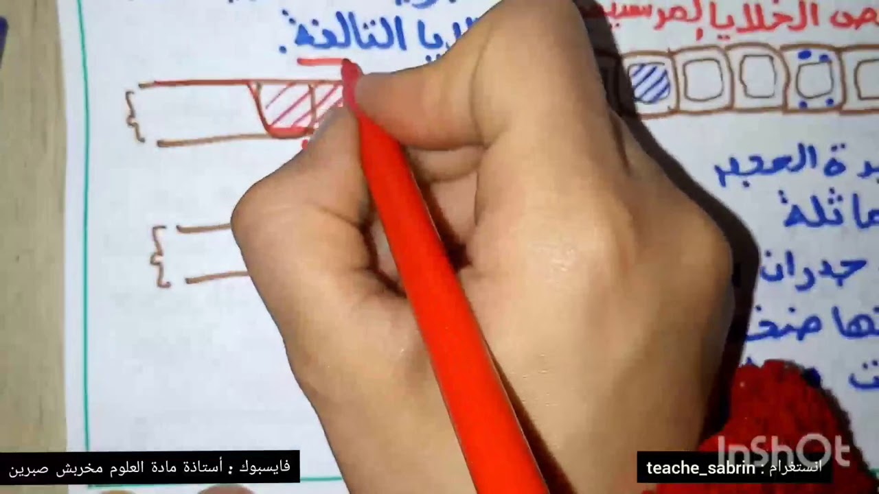 اولى ثانوي / ملخص فصل1/ الجزء الاول
