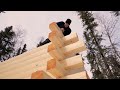 Building An Alaskan Log Cabin - Week 3 (The Walls)