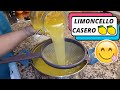 Como hacer limoncello casero paso a paso How to make limoncello 😋🍋🍸