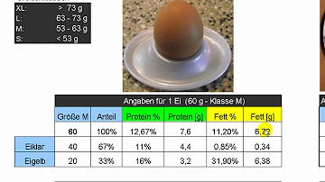 Wie viel Eiklar ist in einem Ei?