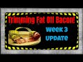 Trimming the Fat off Bacon! - Week 3 Update